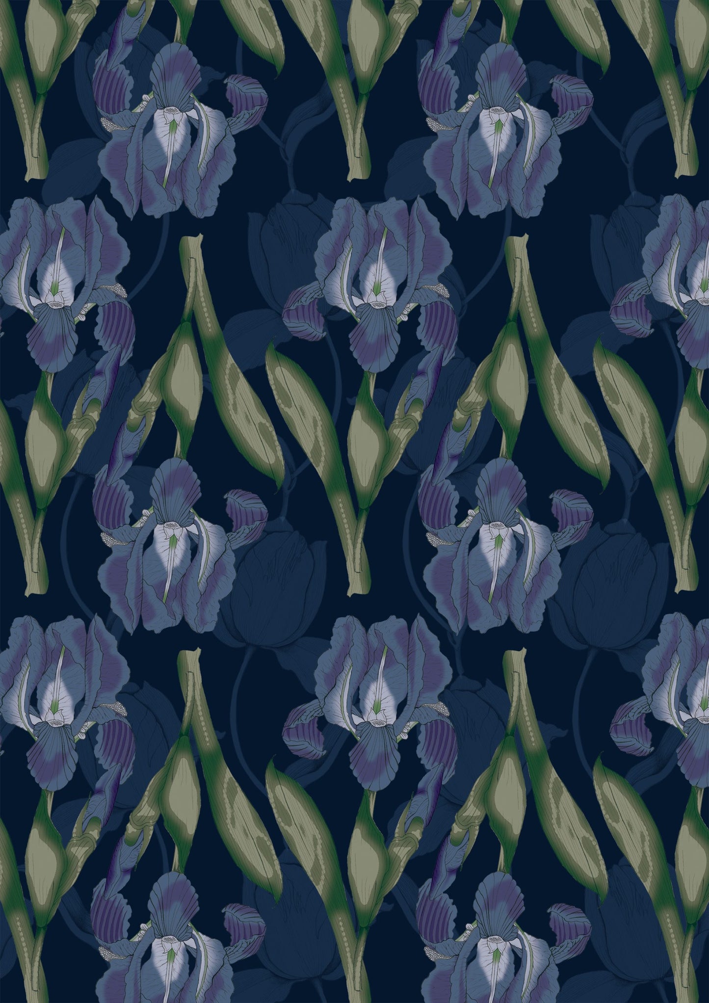 Playful Dots and Shells