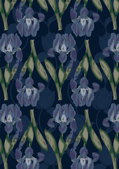 Playful Dots and Shells