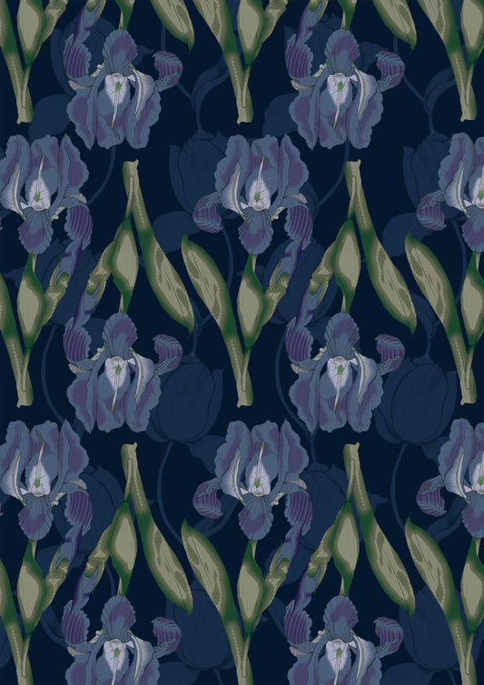 Playful Dots and Shells