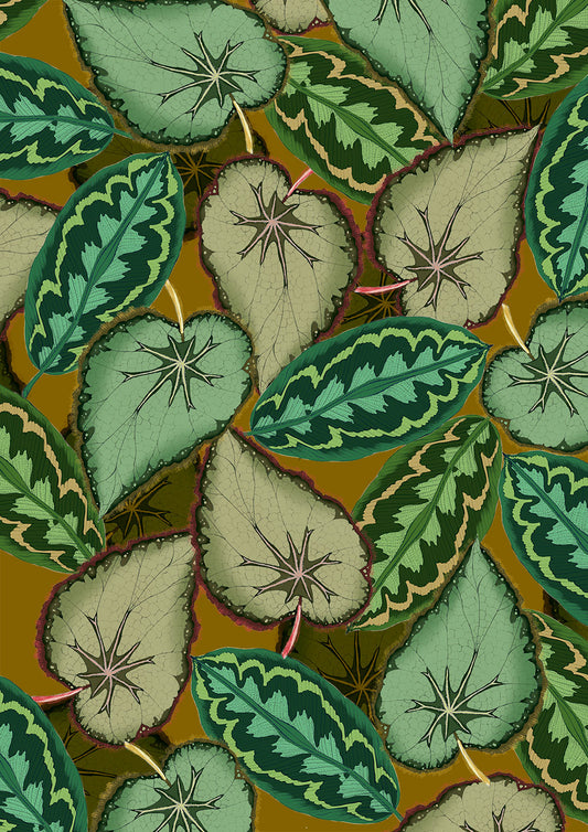 Overlapping Leaf Patterns