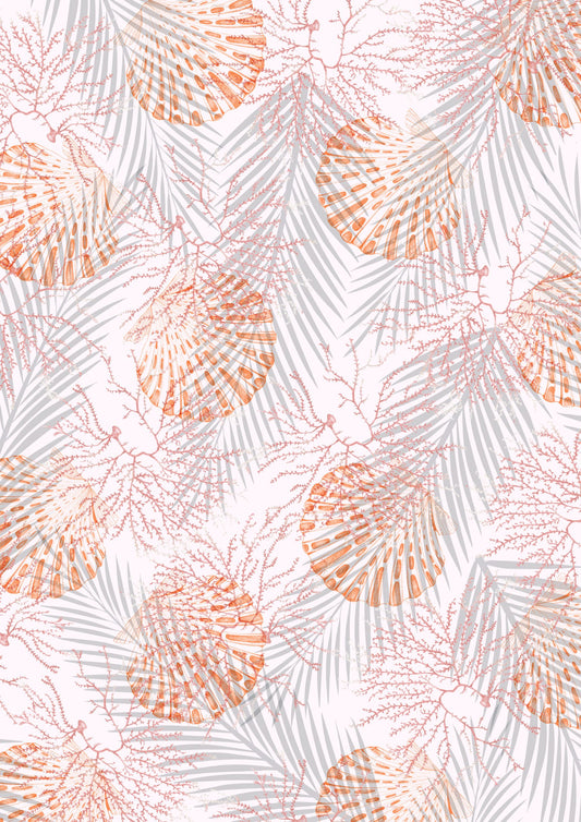 Shell & Coral Harmony