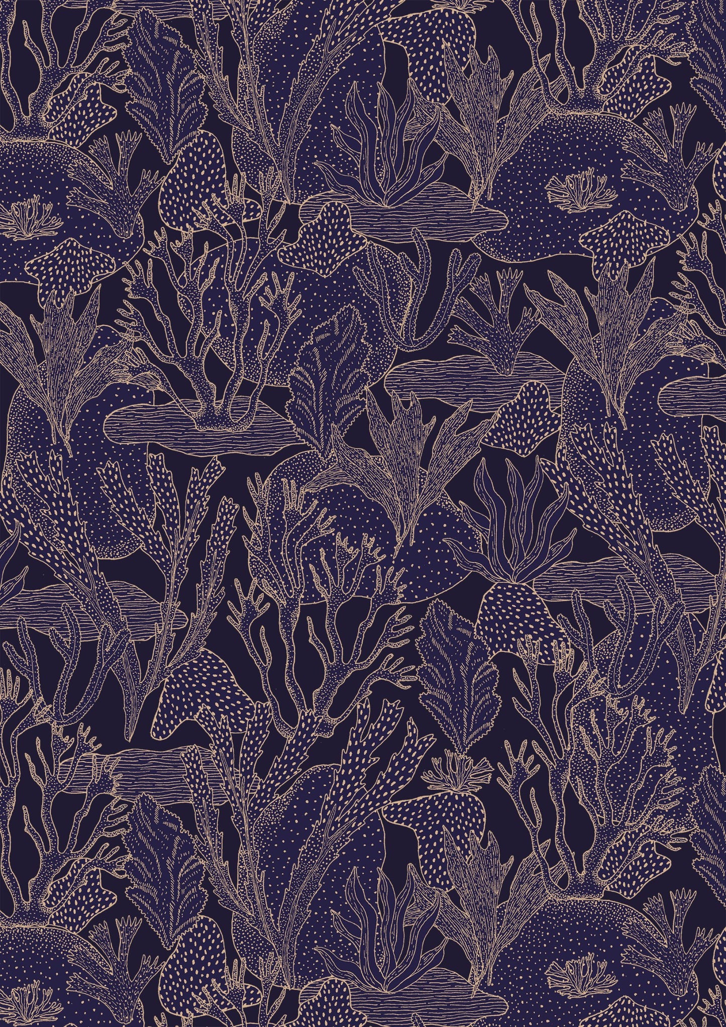 Arrecifes Crepusculares