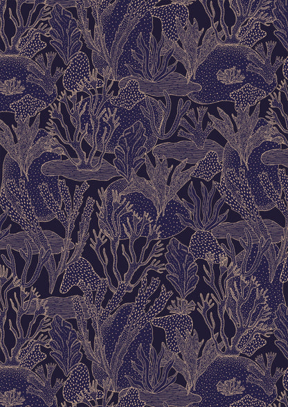 Arrecifes Crepusculares