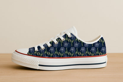 Playful Dots and Shells