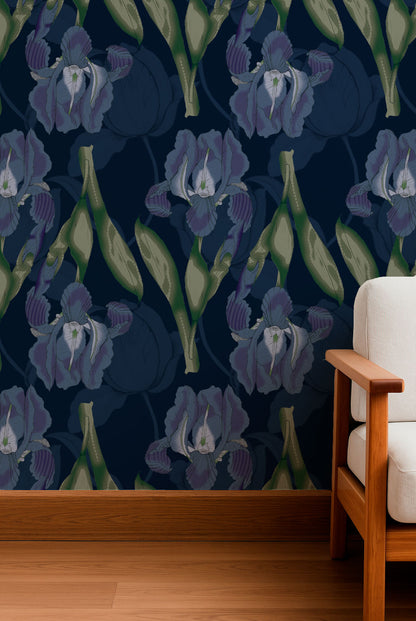 Playful Dots and Shells